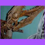Dinosaur Head 2.jpg